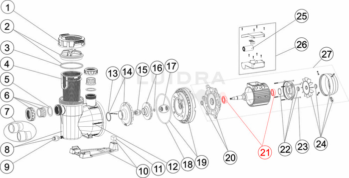 łożysko do pompy victoria plus silence